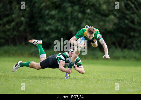 Rugby, Spieler in Angriff genommen. Stockfoto