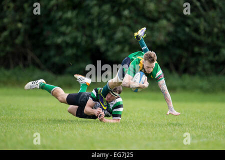 Rugby, Spieler in Angriff genommen. Stockfoto