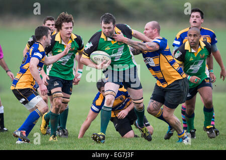 Rugby, Spieler in Angriff genommen. Stockfoto