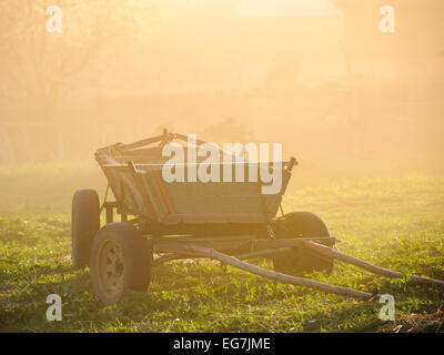 Alte Vintage Heuwagen sitzen auf dem Rasen im Sonnenuntergang aufgegeben. Sonnenuntergang und Sonnenaufgang. Rumänien, Siebenbürgen, Ciuc, ungarische Kultur. Stockfoto