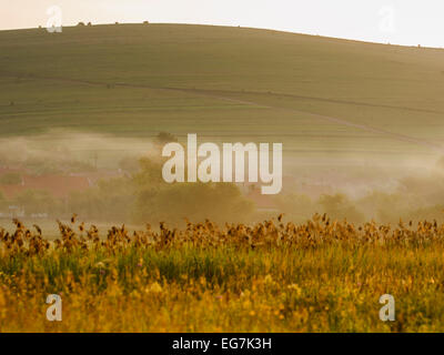 Nebliger Morgen Landschaft mit Schilf im Vordergrund und einem Dorf im Hintergrund. Verträumt, Nebel, Dämmerung, Dämmerung, Hügel. Stockfoto