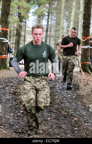 Bangor, Nordirland. 18. Februar 2015. Soldaten laufen durch einen Wald beim Langlauf Sport. Bildnachweis: Stephen Barnes/Alamy Live-Nachrichten Stockfoto