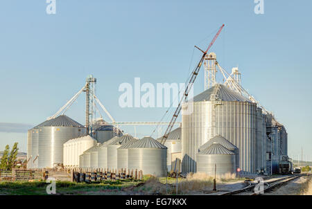 Eine Gruppe von Getreidespeicher für die Lagerung von Weizen und anderen Getreiden. Stockfoto