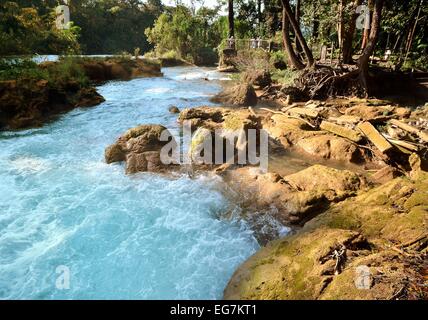 Wasserfall-Agua Azul Chiapas-Mexiko Stockfoto