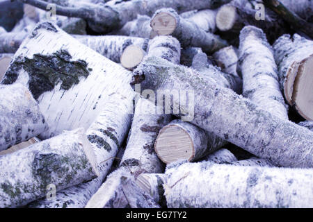 Brennholz aus Birke Hoar Frost fallenden Stockfoto