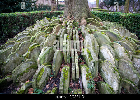 Die winterharte Baum St. Pancras Oude Kerk-London-UK Stockfoto