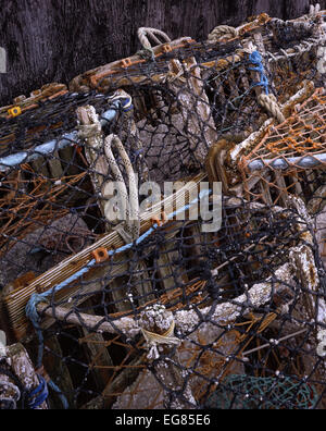 Gatter auf dem Kai von Stonehaven in der Nähe von Aberdeen an der Ostküste Schottlands gespeichert Stockfoto