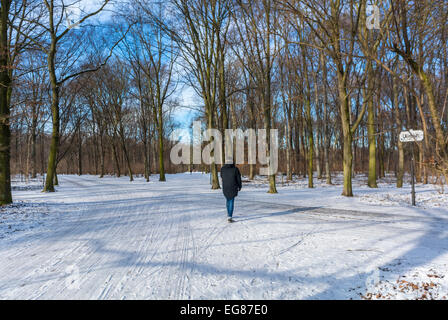 Berlin, Deutschland, Mann, der alleine unterwegs ist, ländliche Winterlandschaft im deutschen Public Park Szenen, TIergarden im Winter Menschen, die im Schnee laufen Stockfoto