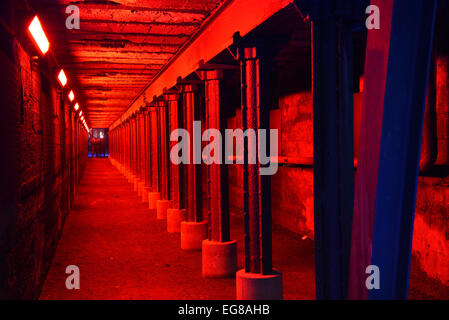 Duisburg, Deutschland. 7. Februar 2015. Ein Spaziergang glänzt Weg in hellen Farben als Bestandteil eine Lichtinstallation des Briths Künstlers Jonathan Park in den Landschaftspark Duisburg-Nord, ein ehemaliger Verhüttung und Stahlwerk Werk in Duisburg, Deutschland, 7. Februar 2015. Foto: Horst Ossinger/Dpa - NO-Draht-SERVICE-/ Dpa/Alamy Live News Stockfoto