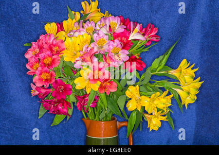 Tiger-Lilien in einer vase Stockfoto