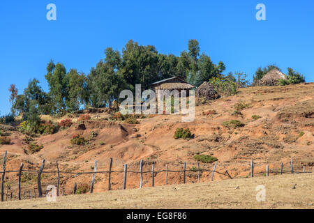 Gehäuse in Simien Berge in Ethiopis Stockfoto