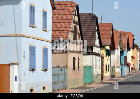 Straße mit Fachwerkhäusern und steinernen Häusern lackiert in verschiedenen Farben in Krautergersheim, Elsass, Frankreich Stockfoto