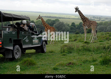 Bilder von der kürzlich eröffneten "Bilder von der kürzlich eröffneten"Afrika-Erlebnis"Port Lympne Wild Animal Park Kent. Stockfoto