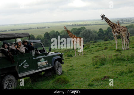 Bilder von der kürzlich eröffneten "Bilder von der kürzlich eröffneten"Afrika-Erlebnis"Port Lympne Wild Animal Park Kent. Stockfoto