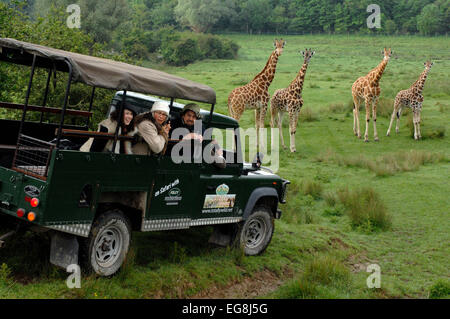 Bilder von der kürzlich eröffneten "Bilder von der kürzlich eröffneten"Afrika-Erlebnis"Port Lympne Wild Animal Park Kent. Stockfoto