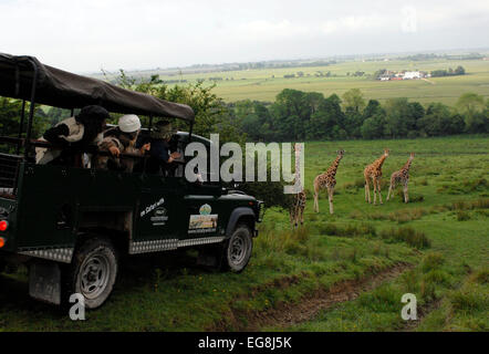 Bilder von der kürzlich eröffneten "Bilder von der kürzlich eröffneten"Afrika-Erlebnis"Port Lympne Wild Animal Park Kent. Stockfoto