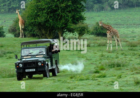 Bilder von der kürzlich eröffneten "Bilder von der kürzlich eröffneten"Afrika-Erlebnis"Port Lympne Wild Animal Park Kent. Stockfoto