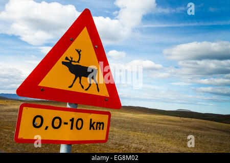 Rentiere zu unterzeichnen. Island, Europa. Stockfoto