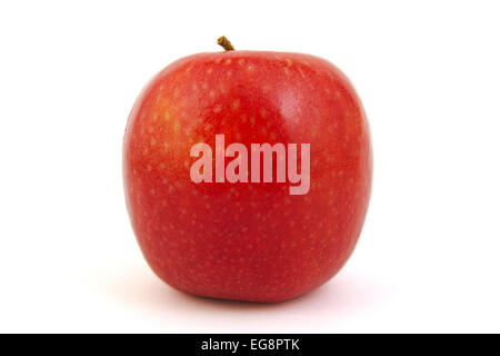 Rot Pink Lady Apfel auf weißem Hintergrund Stockfoto