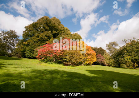 Zündeten Arboretum Herbst Stockfoto