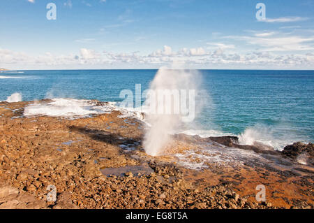 Ansturm von Meerwasser wird aus Spouting Horn, eine natürliche Schlag Loch eine Lavaröhre auf der Insel Kauai Spie Stockfoto