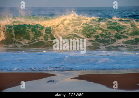 Norden von Kauai Wellen. Stockfoto