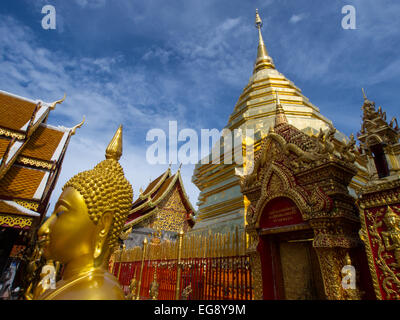 Goldene Stuppa am Tempel Doi Suthep, Chiang Mai, Thailand Stockfoto