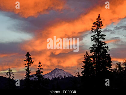 Mount Shasta Dawn Schönheit. Stockfoto