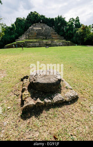 Stein-Artefakt in der Plaza vor Jaguar Tempel, Lamanai, Belize Stockfoto