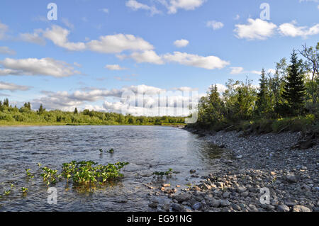 Die polaren Ural. Kiesel-Ufer. Nördlichen Flusslandschaft, sauberem Wasser und Umwelt Gnade. Stockfoto