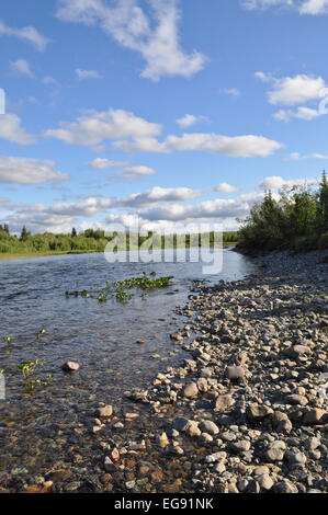 Die polaren Ural. Kiesel-Ufer. Nördlichen Flusslandschaft, sauberem Wasser und Umwelt Gnade. Stockfoto