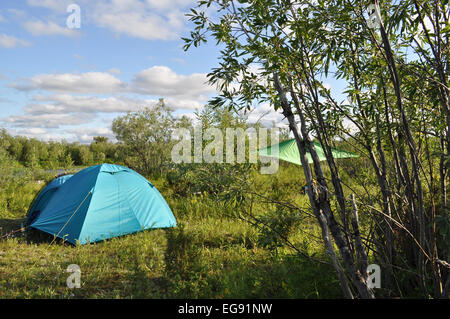 Camping Zelt auf dem Rasen. Camp Touristen auf einer Lichtung unter den Büschen im polaren Ural. Stockfoto