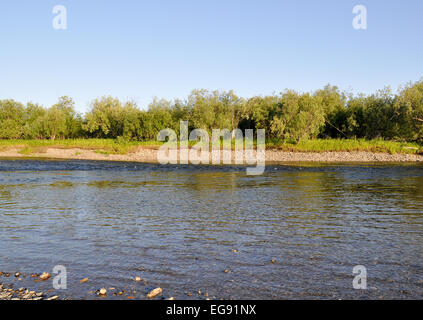 Die polaren Ural. Kiesel-Ufer. Nördlichen Flusslandschaft, sauberem Wasser und Umwelt Gnade. Stockfoto