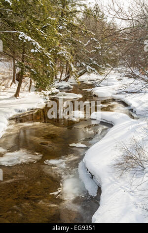 Bäume spiegeln sich in Hälfte eingefroren Platte töten in Delaware County in den Catskill-Bergen von Upstate New York Stockfoto