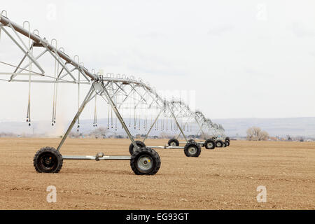 Eine neu installierte Mitte Drehpunkt Sprinkler bereit für eine neue Landwirtschaft-Saison Stockfoto