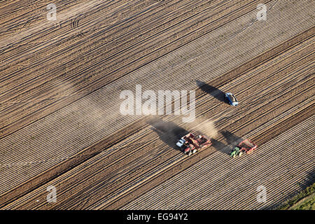 Eine Luftaufnahme des Bauern und Feldarbeiter mit landwirtschaftlichen Maschinen im Feld Kartoffeln ernten Stockfoto