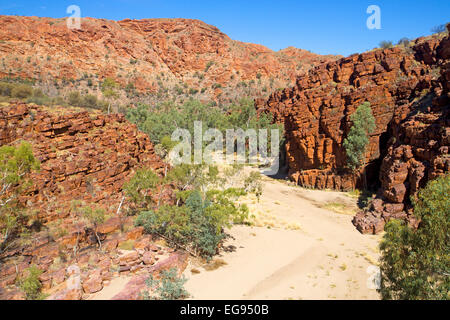 Trephina Gorge in die East MacDonnell Ranges Stockfoto