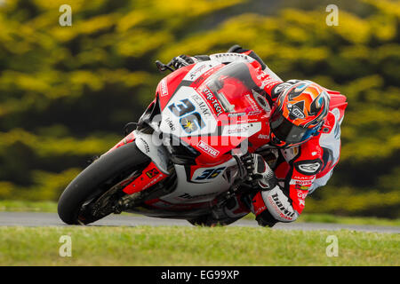 Phillip Island, Australien. Freitag, 20. Februar 2015. Freies Training 1. Leandro Mercado, Barni Racing World Superbike Team. Bildnachweis: Russell Hunter/Alamy Live-Nachrichten Stockfoto