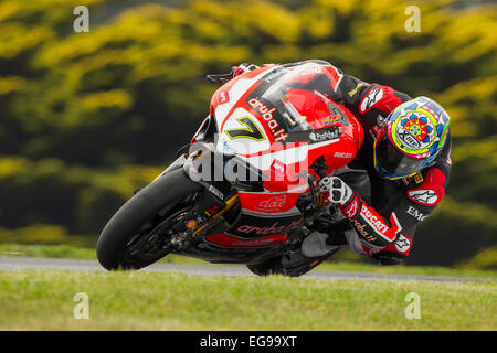 Phillip Island, Australien. Freitag, 20. Februar 2015. Freies Training 1. Chaz Davies, Aruba.it Racing Ducati World Superbike Team. Bildnachweis: Russell Hunter/Alamy Live-Nachrichten Stockfoto