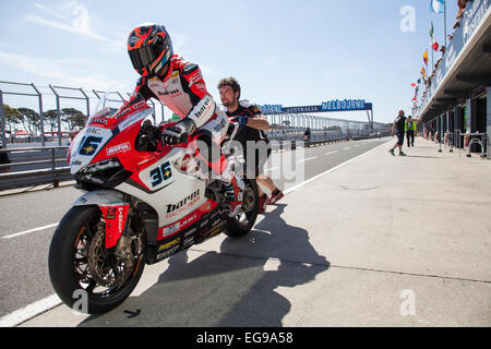 Phillip Island, Australien. Freitag, 20. Februar 2015. Freies Training 2. Leandro Mercado, Barni Racing World Superbike Team. Bildnachweis: Russell Hunter/Alamy Live-Nachrichten Stockfoto