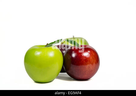 Äpfel in rot und grün Stockfoto