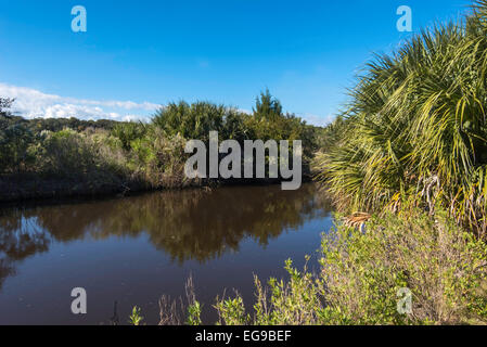 Egan Creek Greenway in Fernandina, Amelia Island, Florida Stockfoto