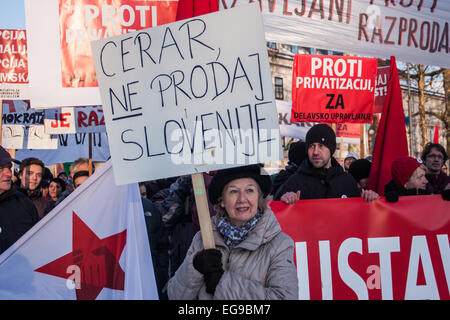 Protest gegen Privatisierung in Ljubljana/Slowenien auf 7.2.2015 Stockfoto