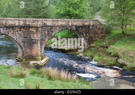 Rutschigen Steinen Lastesel Brücke im Sommer. Oberen Derwent Valley, Peak District, Derbyshire. Stockfoto