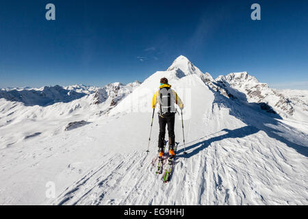 Tourengeher während der Besteigung des Mt Suldenspitze, auf dem Gipfelgrat, an den hinteren Bergen Königspitze und Ortler, Sulden Stockfoto