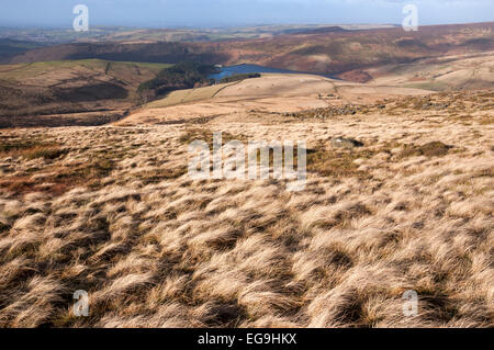 Vom Wind verwehten Moorlandschaft unter Kinder Scout mit Blick auf Kinder Stausee in der Nähe von Hayfield. Stockfoto