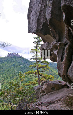 Wunderlichen Haufen von Steinen. Rock "Drachenrücken" Stockfoto