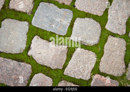 Nahaufnahme einer alten gepflasterten Straße mit Moos Stockfoto