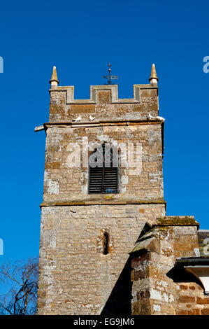 St. Margarets Kirche, Denton, Northamptonshire, England, Vereinigtes Königreich Stockfoto