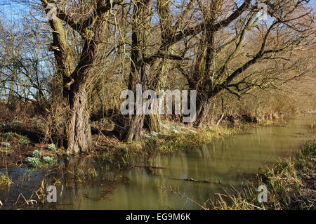 Baston Fen Naturschutzgebiet angrenzend an den Fluss Glen Stockfoto